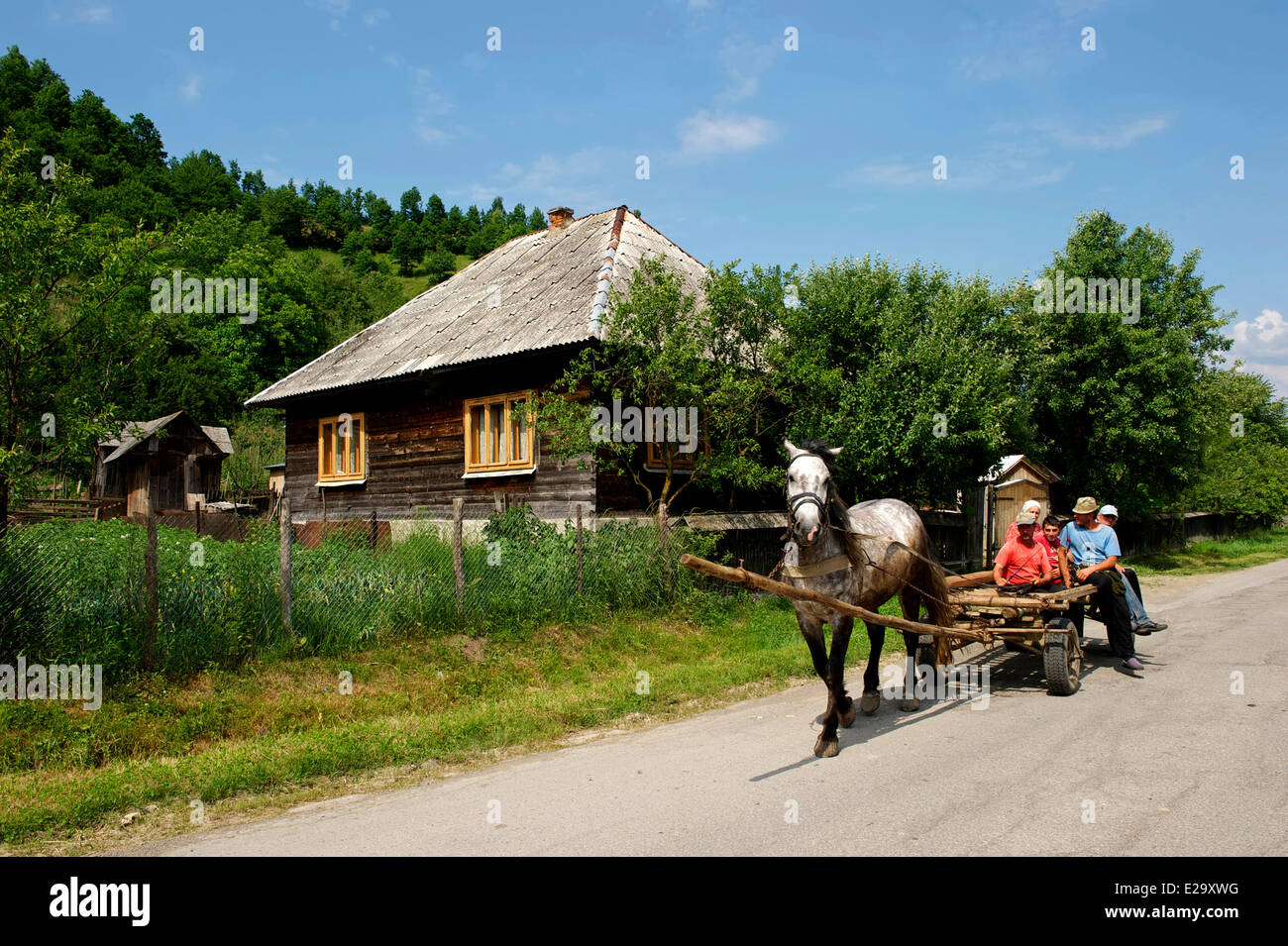 Roumanie, Carpates, Maramures, région de la vallée de Iza Banque D'Images