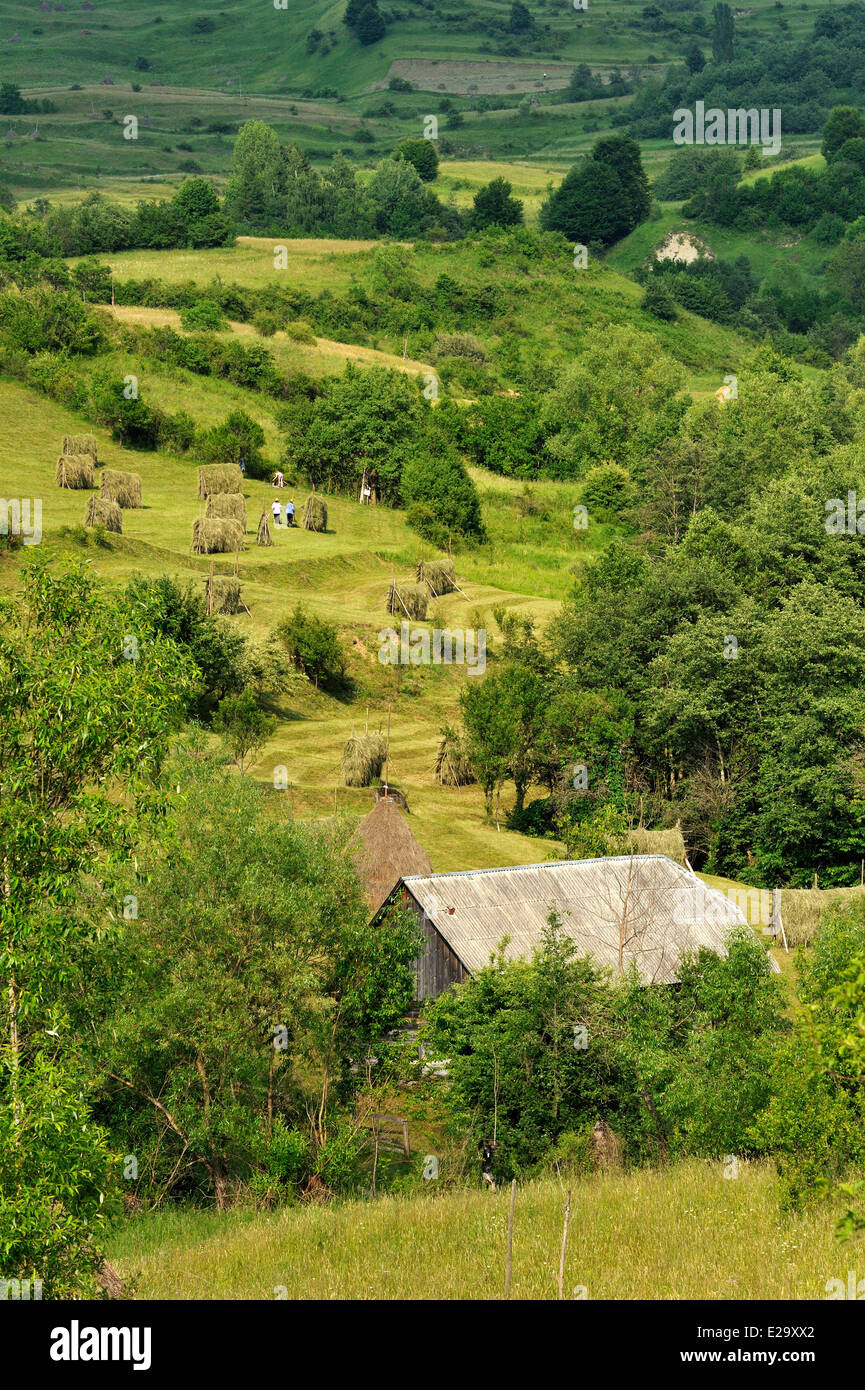 Roumanie, Carpates, Maramures, région de la vallée de Iza Banque D'Images