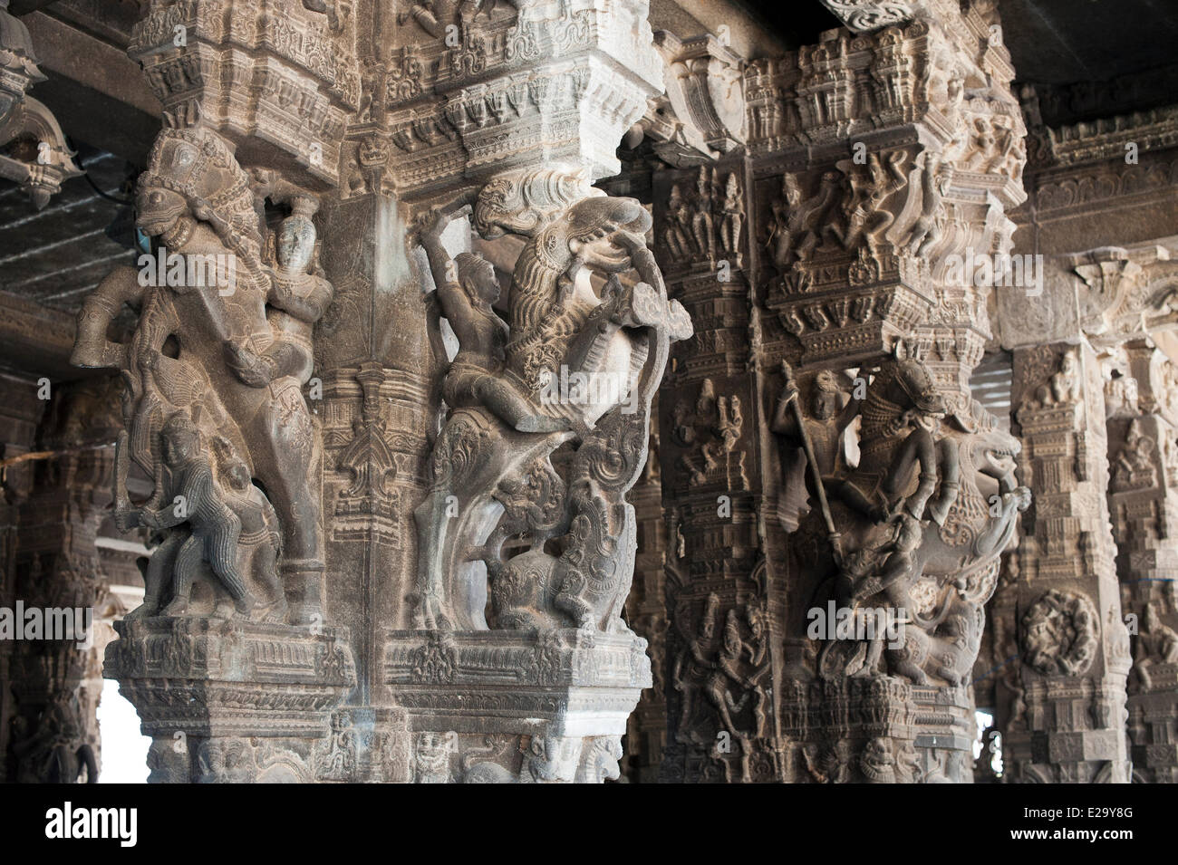 L'Inde, l'Etat du Tamil Nadu, Kanchipuram, Varadaraja Perumal temple (temple) ou Devarajaswami dédié à Vishnou, les sculptures Banque D'Images