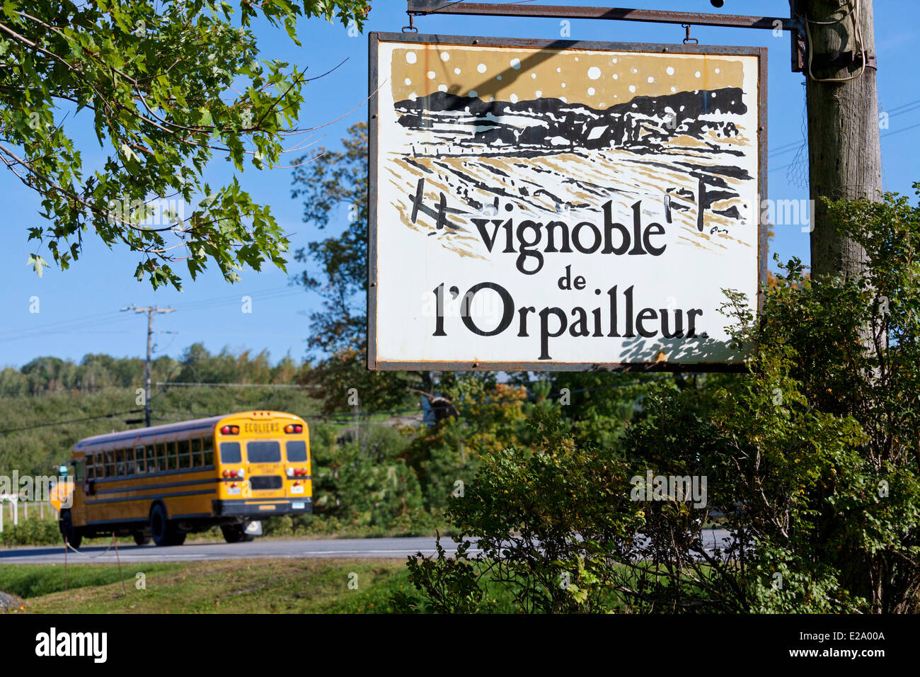 Canada, Québec, Estrie, Cantons de l'Est ou la Route des Vins, Dunham vignoble orpailleur, panneau d'entrée et d'autobus scolaires Banque D'Images