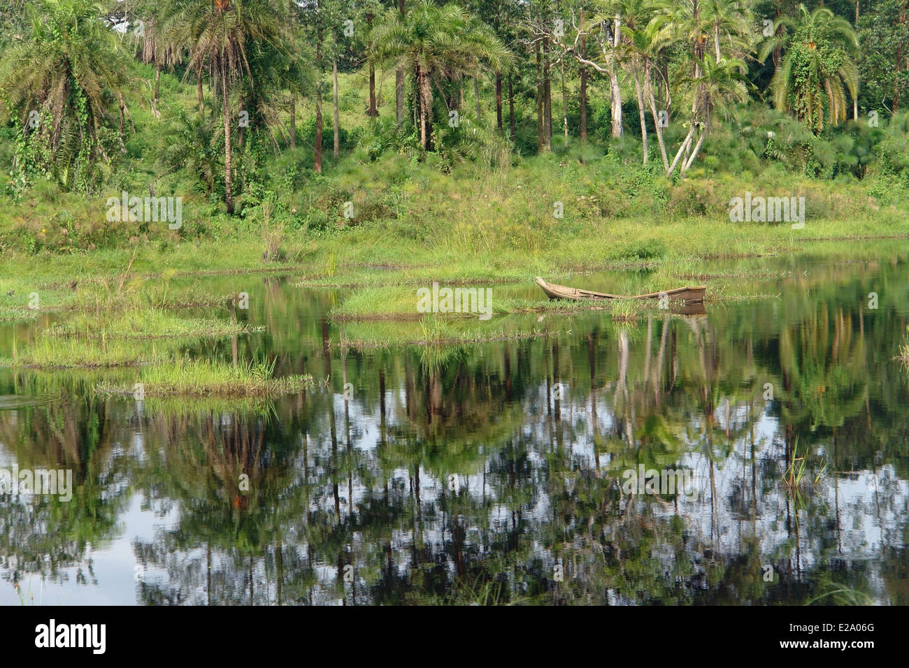 Envahi par la vue magnifique au bord de la faune à Kabwoya en Ouganda (Afrique) Banque D'Images