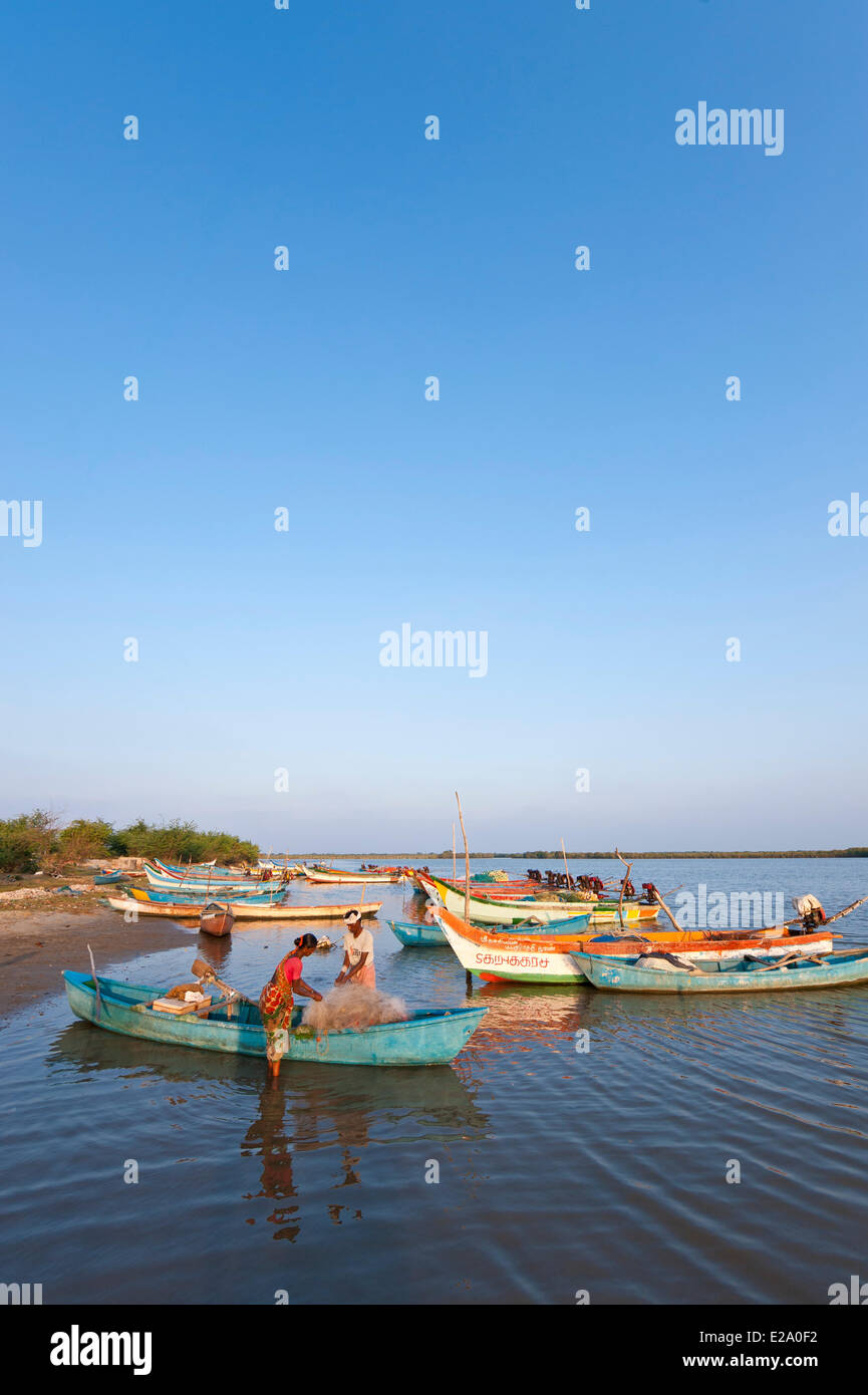 L'Inde, l'Etat du Tamil Nadu, les pêcheurs à qui de Pichavaram, possède une des plus grandes forêts de mangroves, les protections naturelles protégeant le Banque D'Images