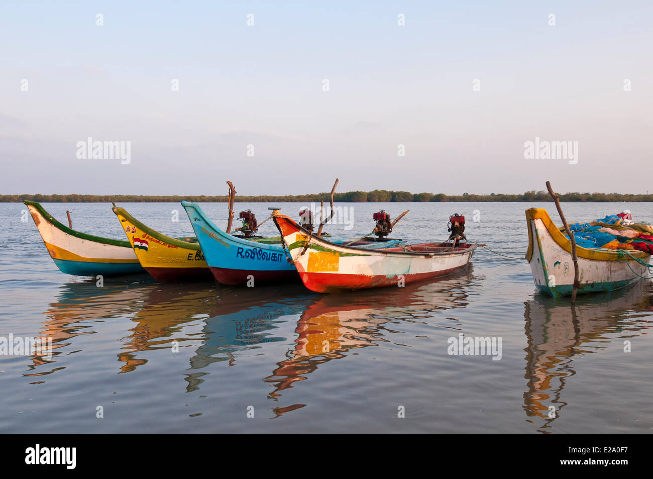 L'Inde, l'Etat du Tamil Nadu, de bateaux de pêche qui a Pichavaram dans l'une des plus grandes forêts de mangroves, les protections naturelles protégeant Banque D'Images