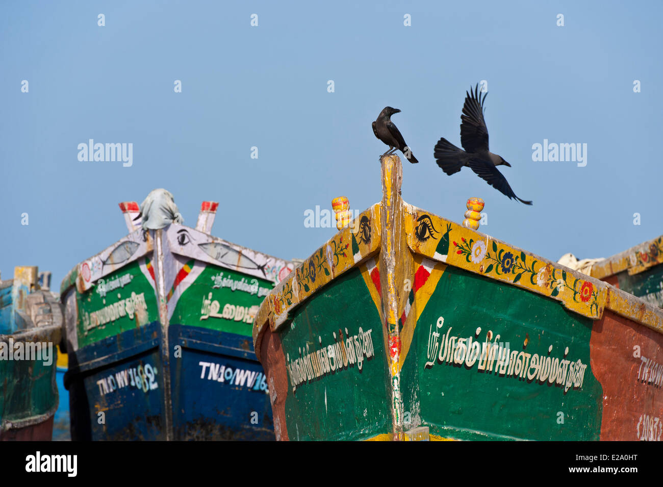 L'Inde, l'Etat du Tamil Nadu, Rameswaram est une des villes saintes de l'Inde et un important lieu de pèlerinage pour les Shaivites et Banque D'Images
