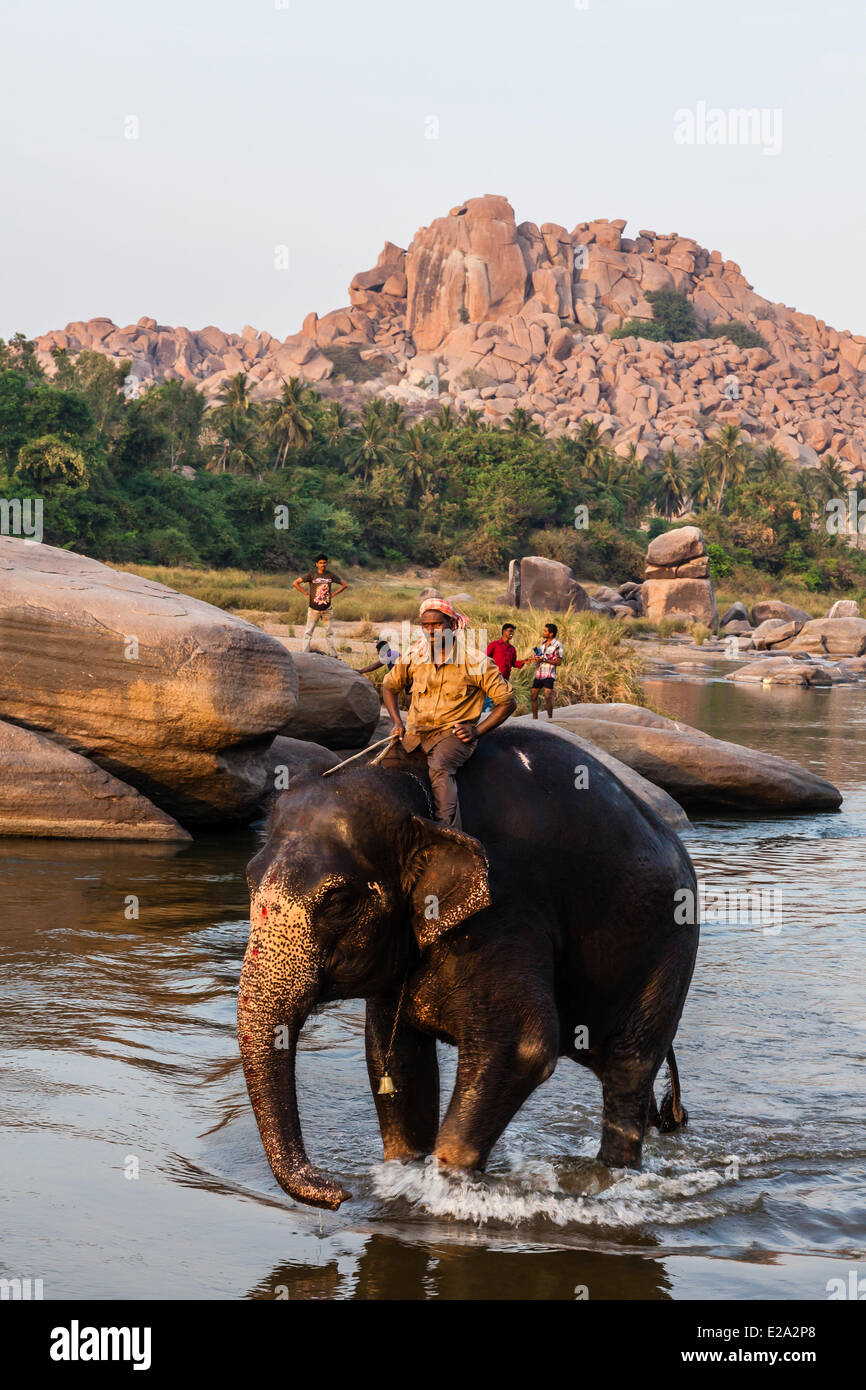 L'Inde, l'état de Karnataka, Hampi, l'éléphant dans la rivière Tungabhadra Lakshmi Banque D'Images