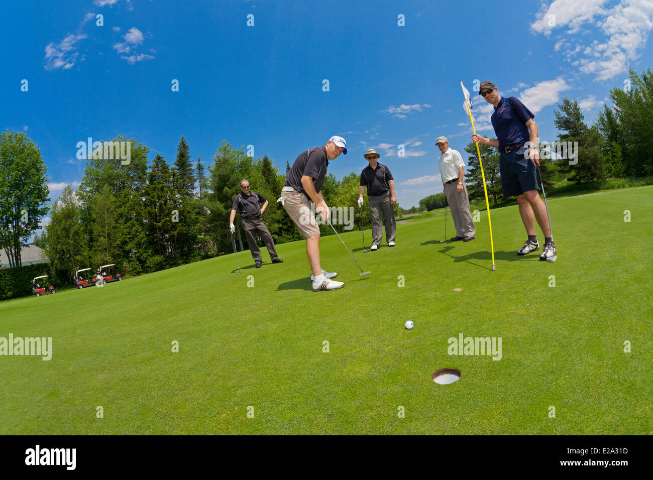 Canada, Quebec Province, terrain de golf, sur le livre vert, coup final Banque D'Images