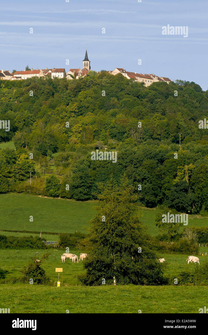 France, Côte d'Or, Flavigny sur Ozerain, étiqueté Les Plus Beaux Villages de France (Les Plus Beaux Villages de France) Banque D'Images