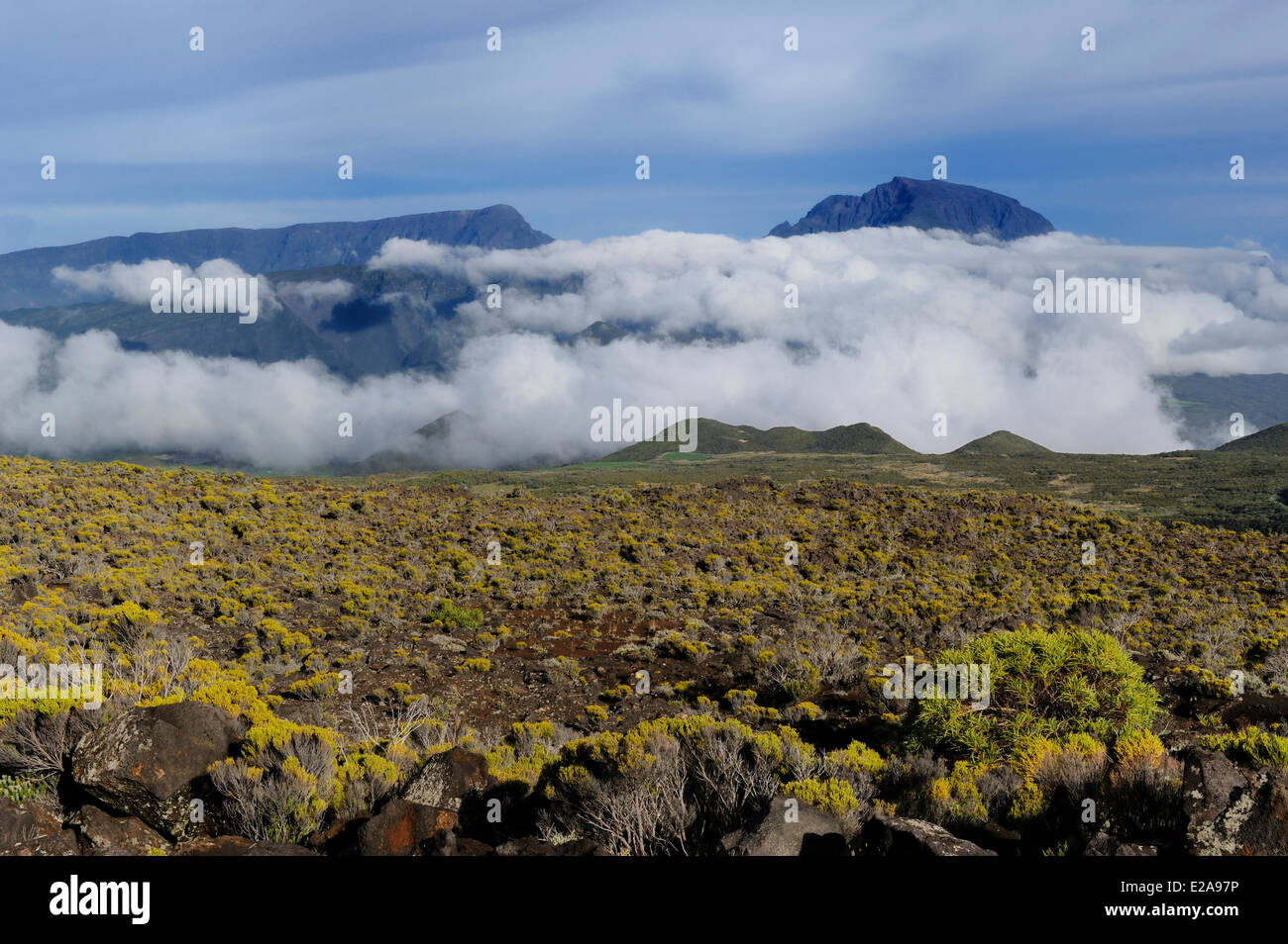 La France, l'île de la Réunion (département français d'outre-mer), le Parc National de La Reunion (Reunion National Park), classé au Banque D'Images