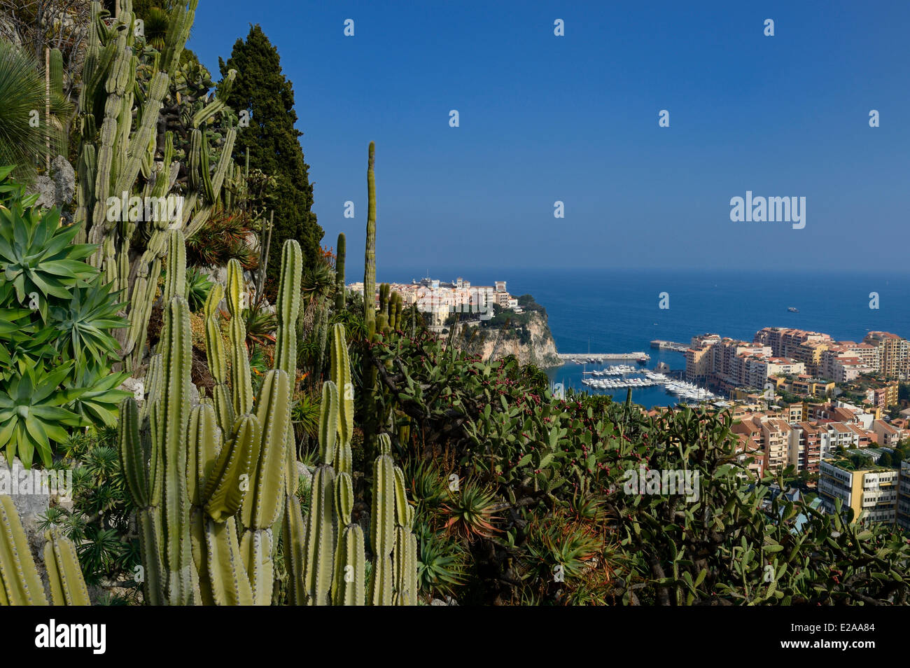 Principauté de Monaco, Monaco, le jardin exotique avec une très grande variété d'espèces de plantes succulentes, le rock et l'Fontvieille Banque D'Images