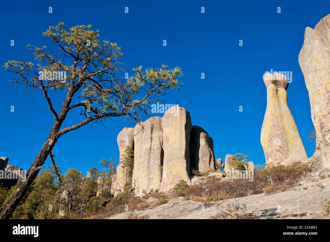 Le Mexique, dans l'état de Chihuahua, du cuivre, des formations rocheuses du canyon dans la vallée de Los Monjes autour de Creel Banque D'Images
