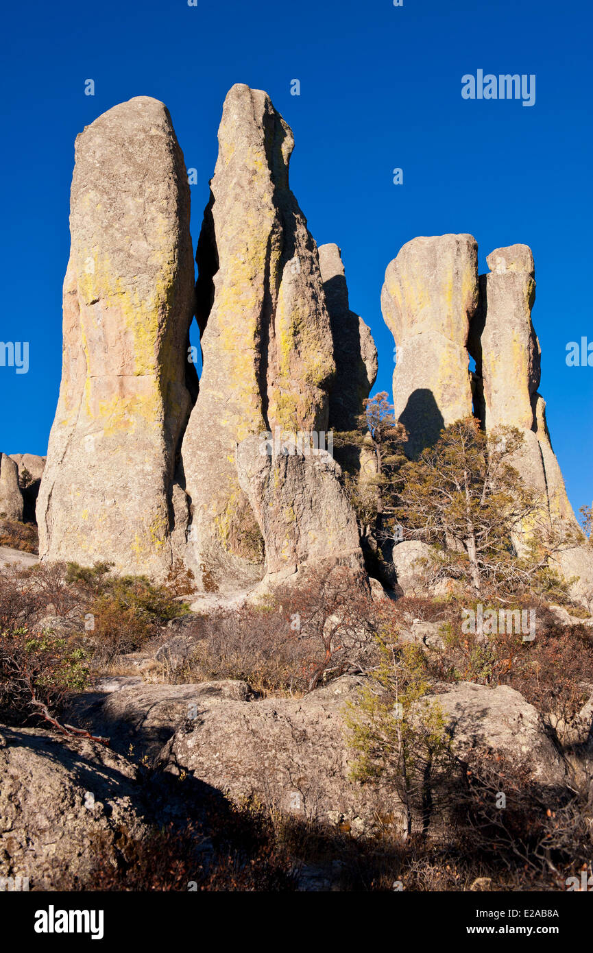 Le Mexique, dans l'état de Chihuahua, du cuivre, des formations rocheuses du canyon dans la vallée de Los Monjes autour de Creel Banque D'Images
