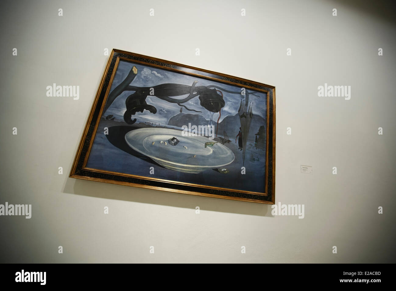 Espagne, Madrid, Museo Nacional Centro de Arte Reina Sofia (La Reine Sofia), Salvador Dali peinture Banque D'Images