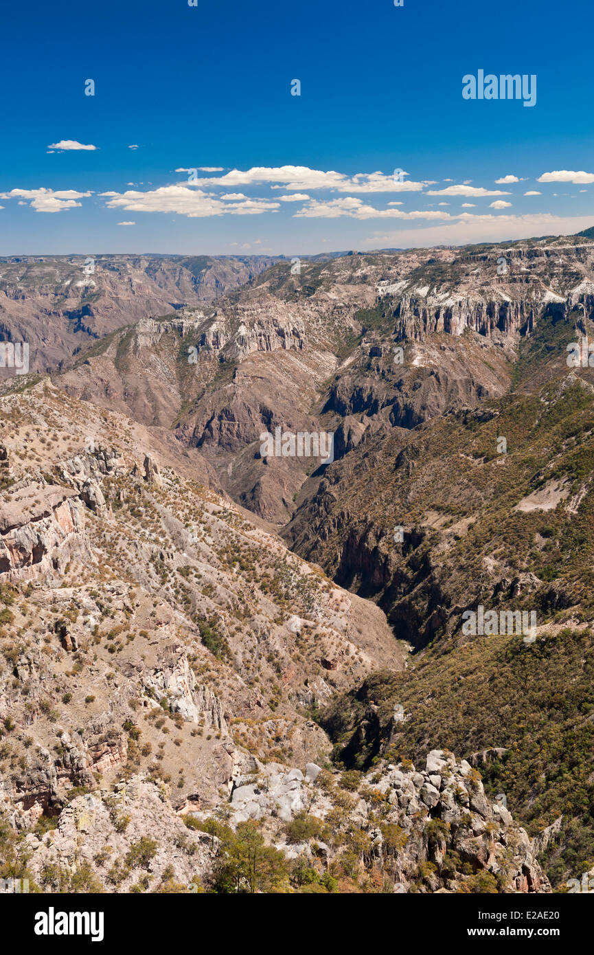 Le Mexique, dans l'État de Chihuahua, Barranca del Cobre (Canyon du Cuivre), la ligne de chemin de fer (El Chepe) de Chihuahua à Los Mochis, le dernier Banque D'Images