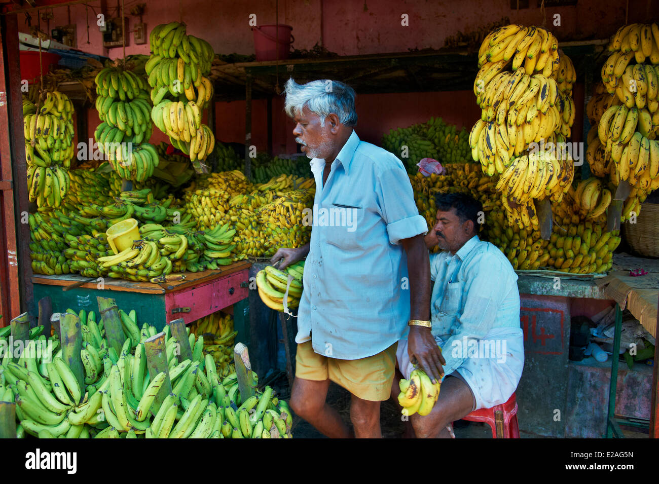 L'Inde, l'état du Karnataka, Mysore, Devaraja market, banane Banque D'Images