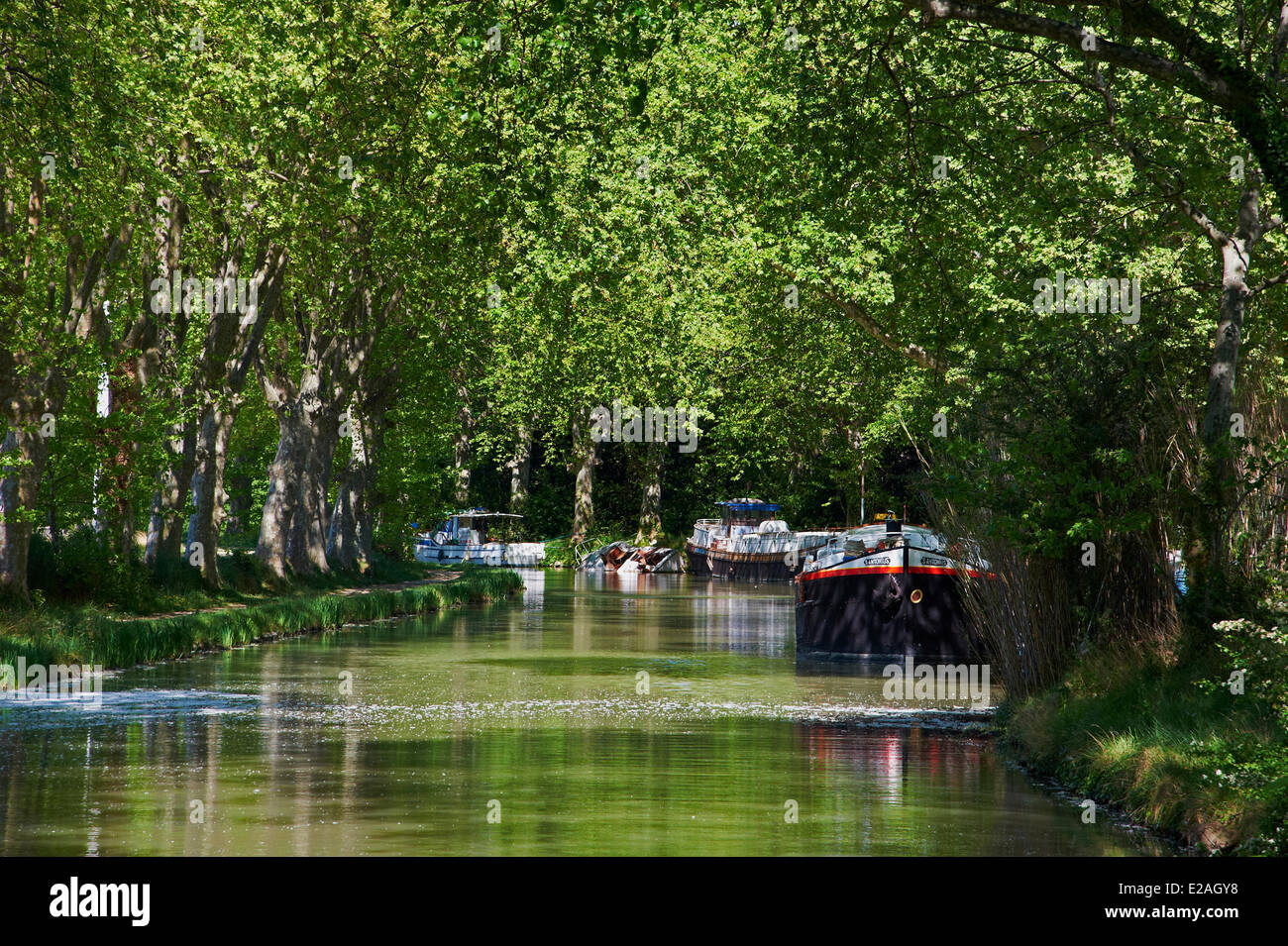 France, Aude, navigation sur le Canal du Midi, classé au Patrimoine Mondial par l'UNESCO, barge Banque D'Images