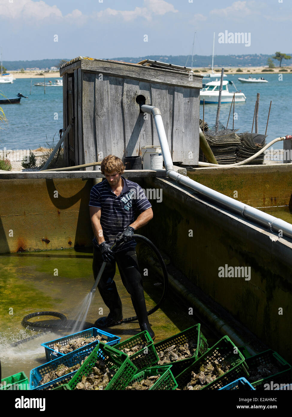 France, Gironde, fonction : Le Grand Bordeaux et le bassin d'Arcachon, Le Cap Ferret, parcs à huîtres dans la Banc d'Arguin Banque D'Images