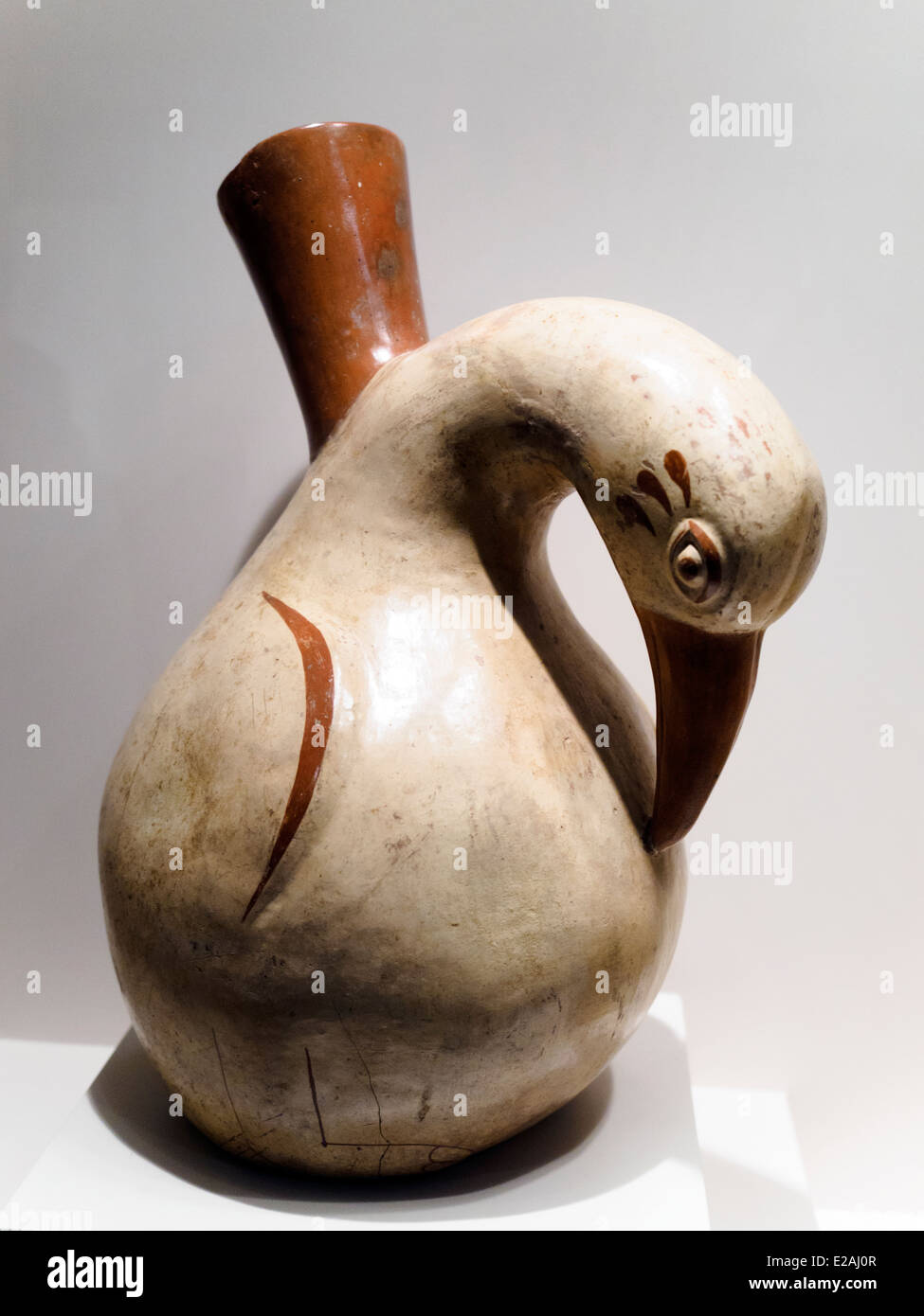 Les Cormorans bouteille classique Mochica période 1 - 800 ANNONCE Museo de Arte Precolombino, Cusco - Pérou loin de tout symbolisme qui pourrait constituer un ajout inutile, ce cormoran invite à la contemplation, au grand bonheur des formes, à suivre le chemin et la grâce de mouvement qui est présent dans la torsion du cou et la position des becs. Il est remarquable d'observer que les petits détails de couleur qui ont été utilisés avec beaucoup de soin par l'artiste de rompre la rigueur de la tonalité de la couleur crème et d'améliorer la finesse de chaque oiseau. Compétences sculptural devient enrichi dans cette bouteille, par e Banque D'Images