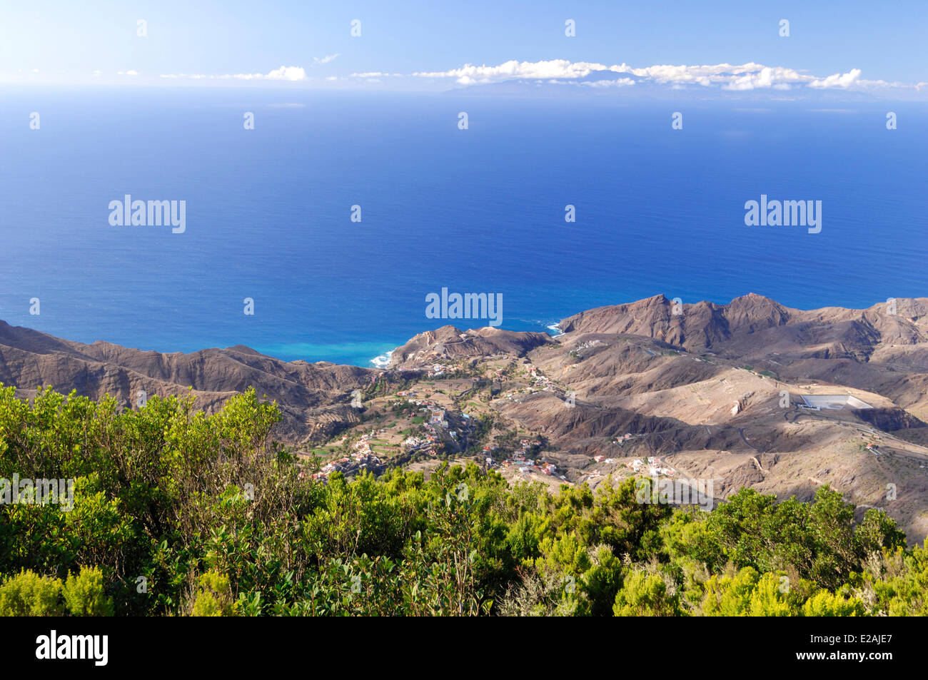 Espagne, Canaries, La Gomera, Valle Gran Rey, El Guro Palm Grove Banque D'Images