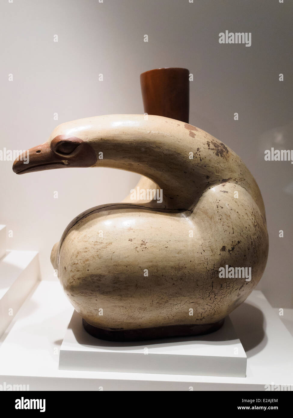 Les Cormorans bouteille classique Mochica période 1 - 800 ANNONCE Museo de Arte Precolombino, Cusco - Pérou loin de tout symbolisme qui pourrait constituer un ajout inutile, ce cormoran invite à la contemplation, au grand bonheur des formes, à suivre le chemin et la grâce de mouvement qui est présent dans la torsion du cou et la position des becs. Il est remarquable d'observer que les petits détails de couleur qui ont été utilisés avec beaucoup de soin par l'artiste de rompre la rigueur de la tonalité de la couleur crème et d'améliorer la finesse de chaque oiseau. Compétences sculptural devient enrichi dans cette bouteille, par e Banque D'Images