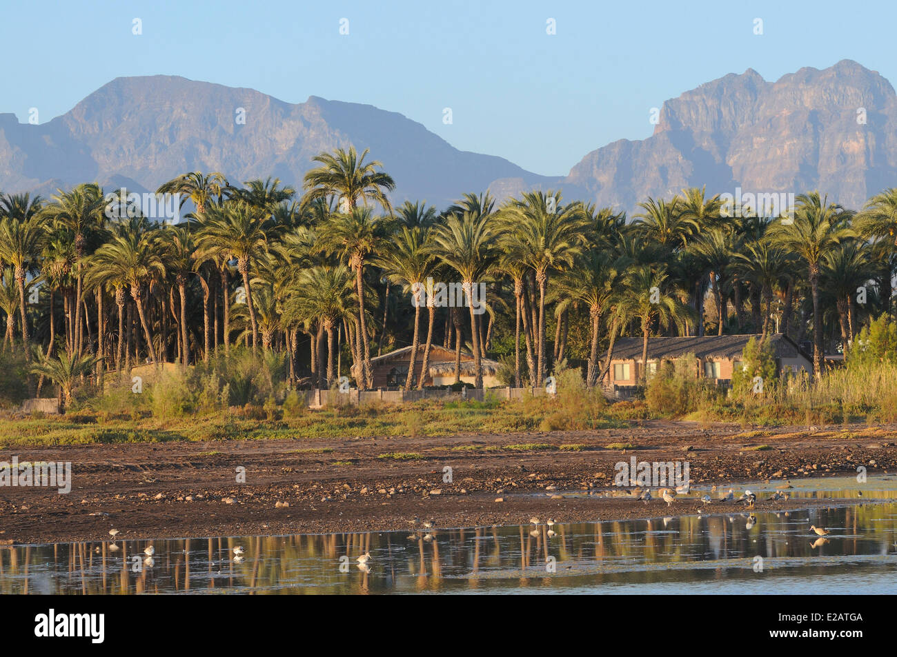 Le Mexique, l'État de Baja California Sur, Mer de Cortez, inscrite au Patrimoine Mondial de l'UNESCO, de Loreto Banque D'Images