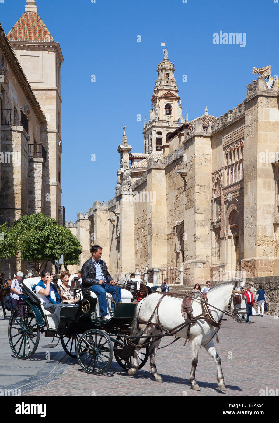 Espagne, Andalousie, Cordoue, centre historique classé au Patrimoine Mondial par l'UNESCO, la Mosquée Cathédrale Banque D'Images