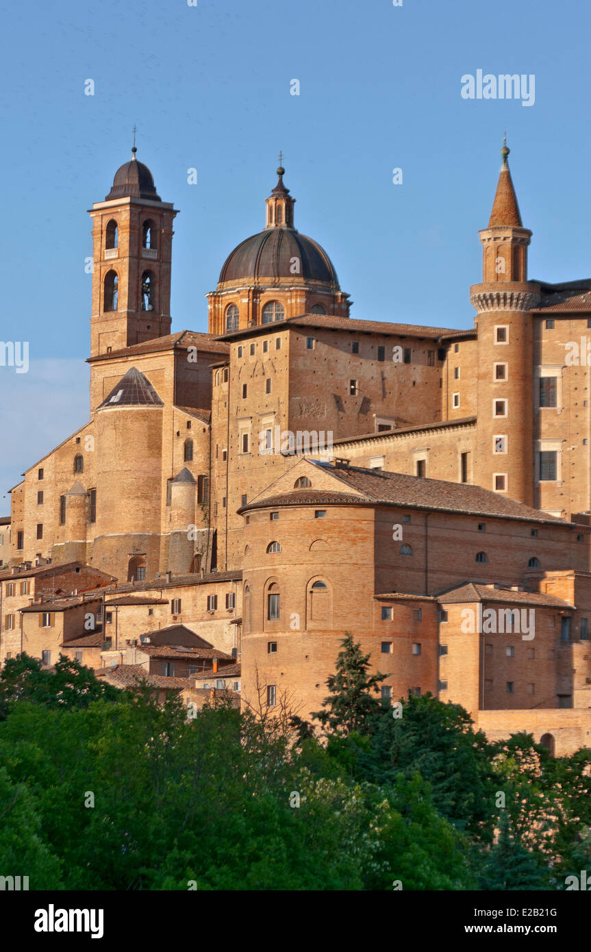 L'Italie, les marches, Urbino, Palazzo Ducale, inscrite au Patrimoine Mondial de l'UNESCO, tours attribuée à Luciano Laurana Banque D'Images