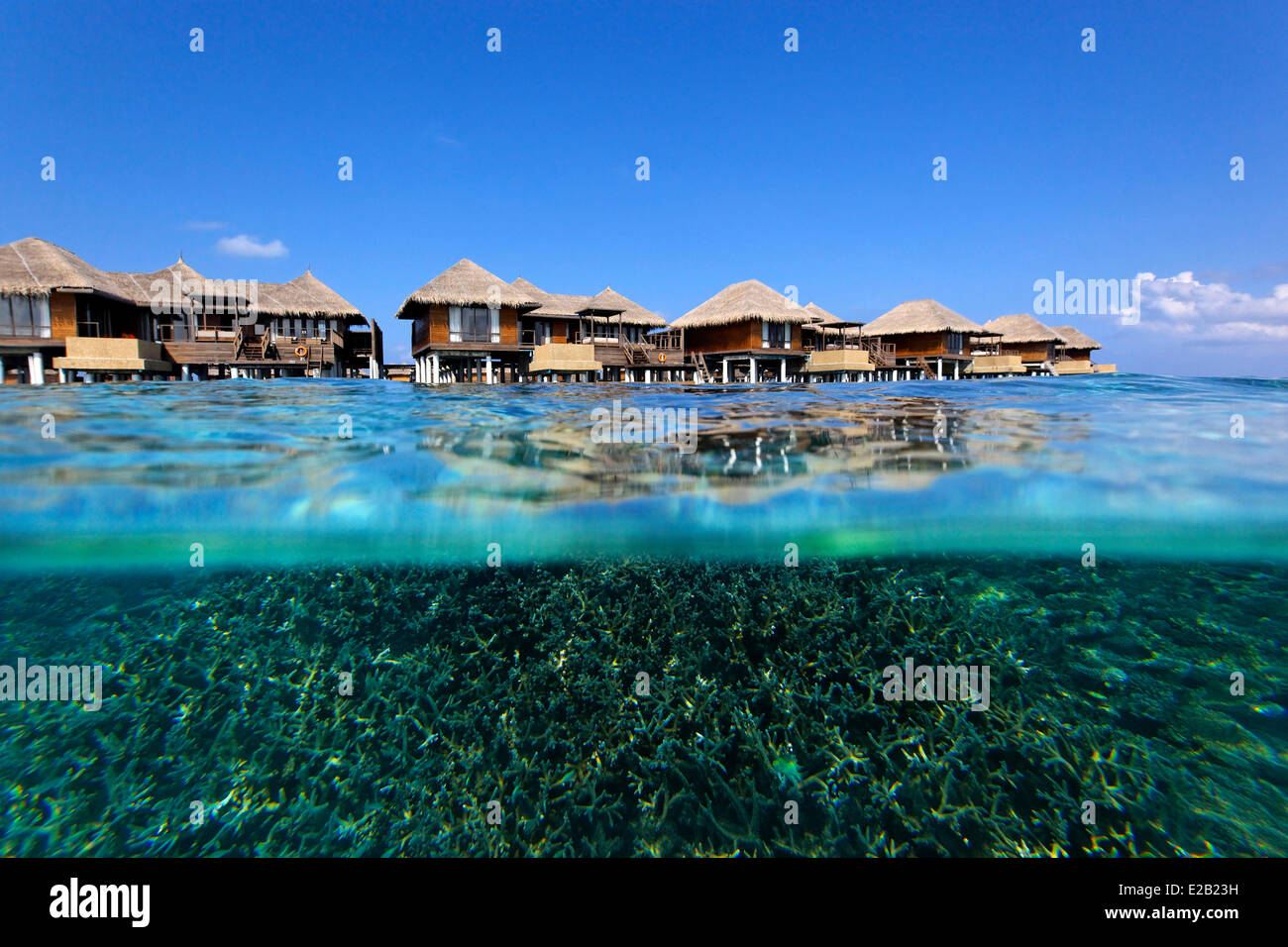 Les Maldives, Kaafu atoll de Malé Nord, l'hôtel Coco Palm Boduhithi, bungalows sur pilotis Banque D'Images