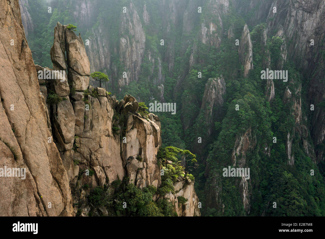 La Chine, la province de l'Anhui, Monts Huangshan (montagnes jaunes), classée au Patrimoine Mondial de l'UNESCO Banque D'Images