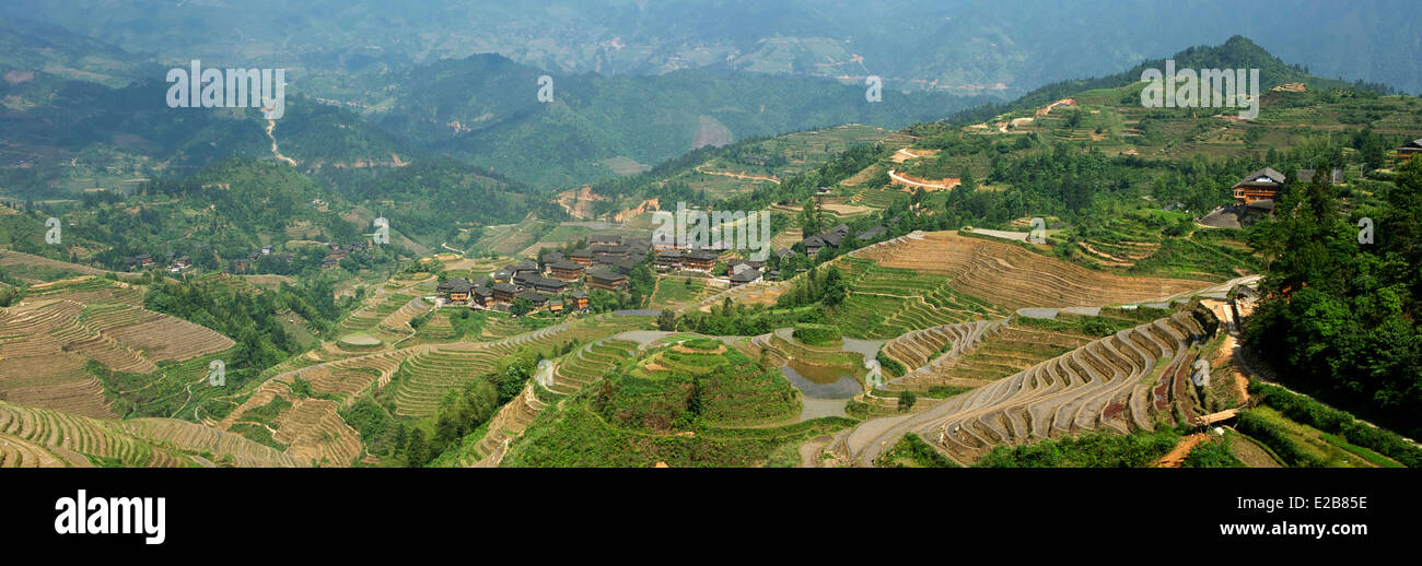 Chine, Province du Guangxi, Longsheng Longji terrasses à riz, Banque D'Images