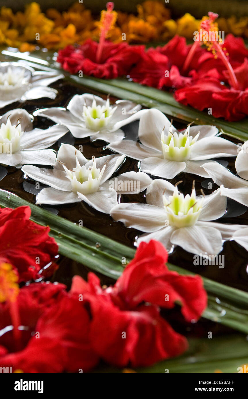 L'INDONÉSIE, Bali, Ubud, Buahan Payangan, Ubud Hanging Gardens hotel group Orient-Express décoration florale Banque D'Images