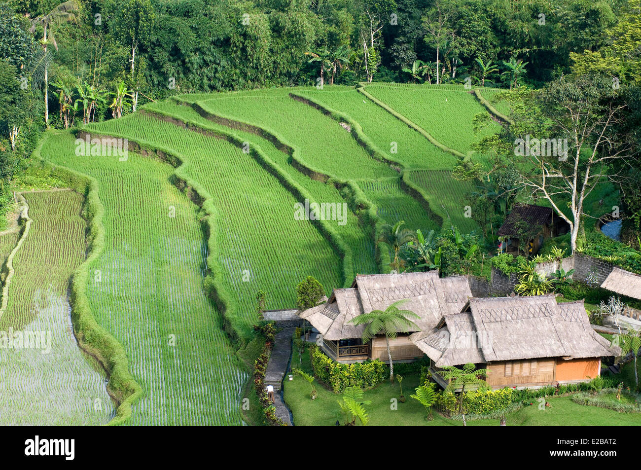L'INDONÉSIE, Bali Subak, système d'irrigation, inscrite au Patrimoine Mondial de l'UNESCO Banque D'Images
