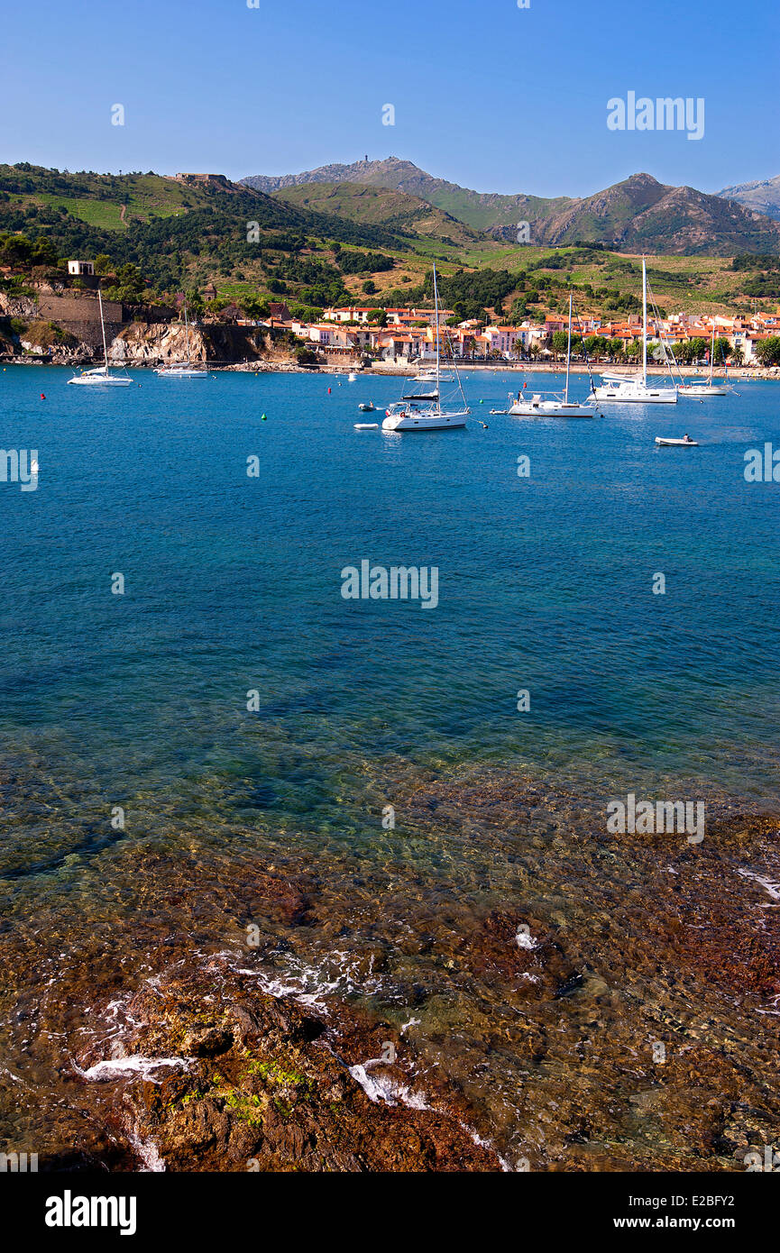 France, Pyrénées Orientales, Collioure, Côte Vermeille, Plage Banque D'Images