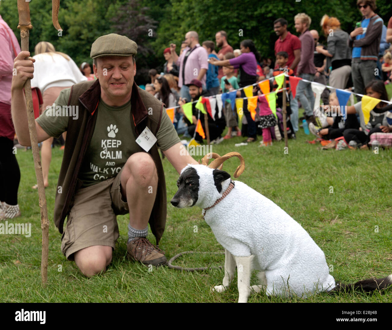 Une exposition canine dans le Queens Park, Brighton Banque D'Images