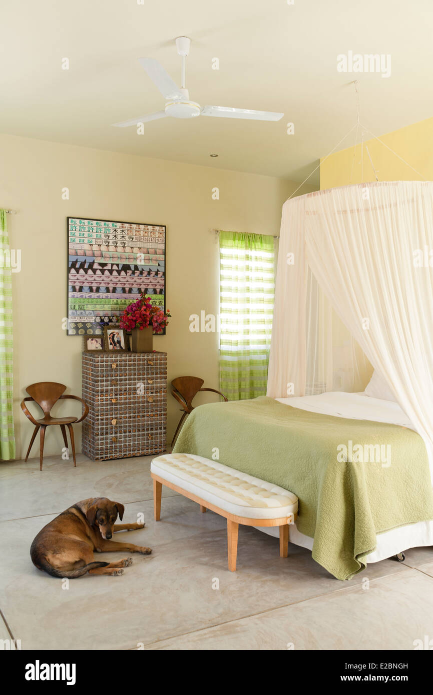 Chambre aux tons de vert en basse accueil du designer d'intérieur Anglais Jenny Armit Banque D'Images