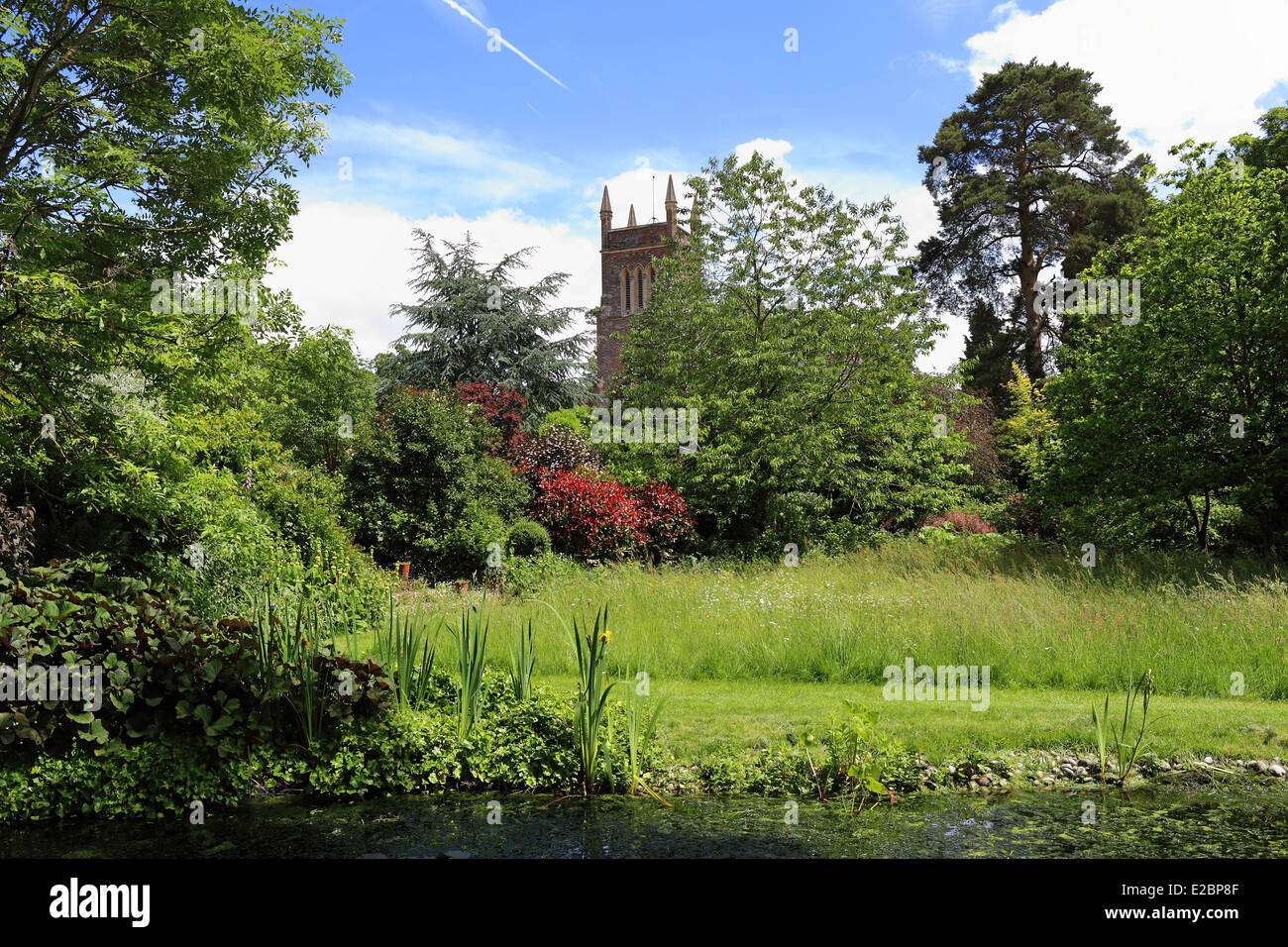 English l'église du village et de la Tour vue sur un étang dans un jardin de fleurs sauvages Banque D'Images