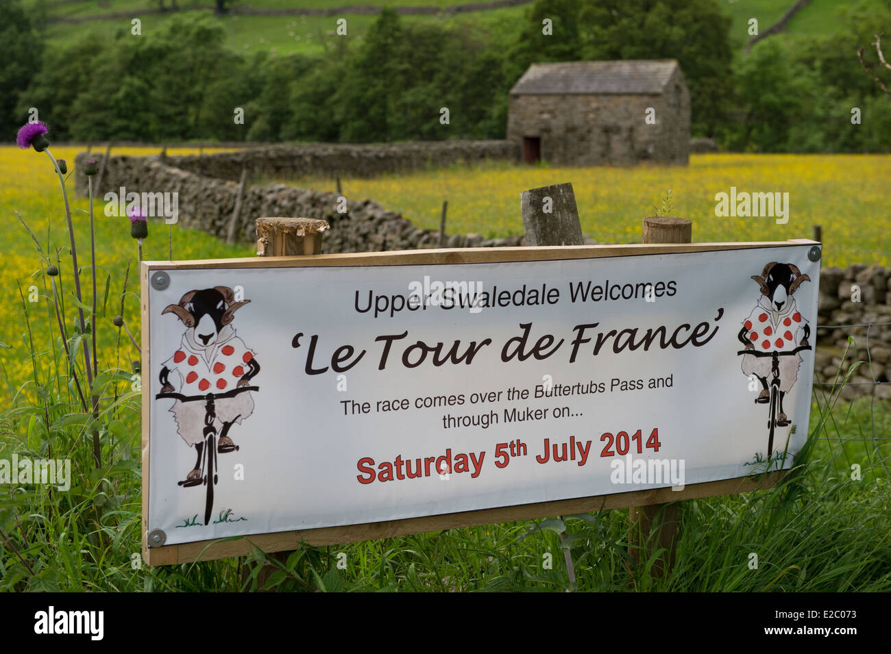 La bannière sur la route du Tour de France (Yorkshire) accueille les visiteurs de Swaledale, grange en pierre traditionnelle et jaune fleurs des prés au-delà - England, UK. Banque D'Images