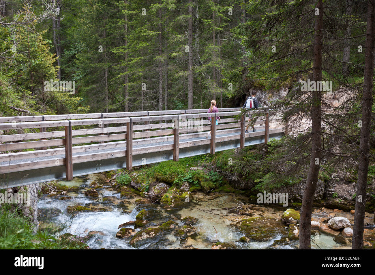 L'Italie, Vénétie, province de Belluno, Dolomites, inscrite au Patrimoine Mondial de l'UNESCO, Cortina d'Ampezzo, cascade de Fanes Banque D'Images