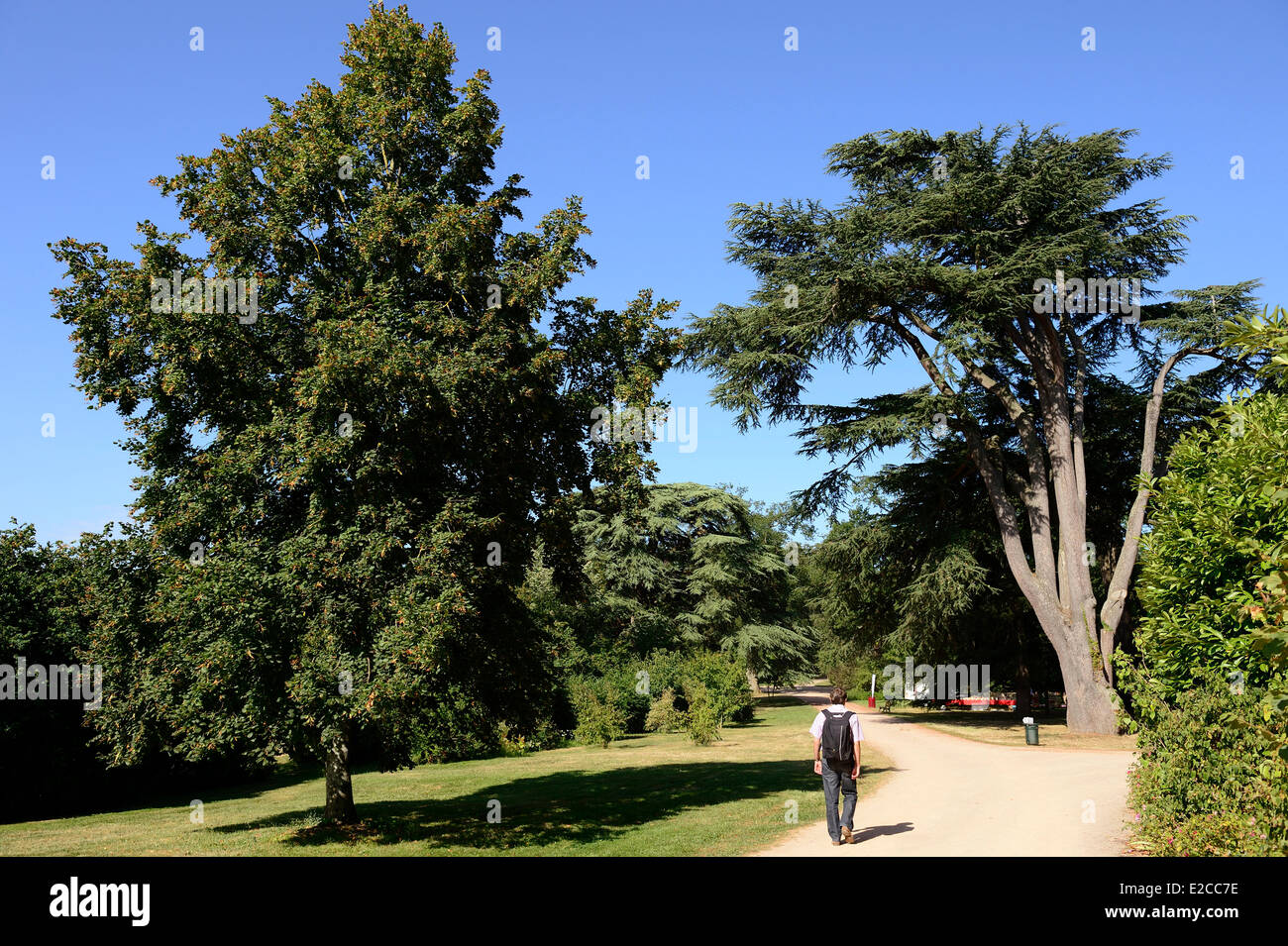 France, Sarthe, Sable sur Sarthe, le jardin du château Banque D'Images