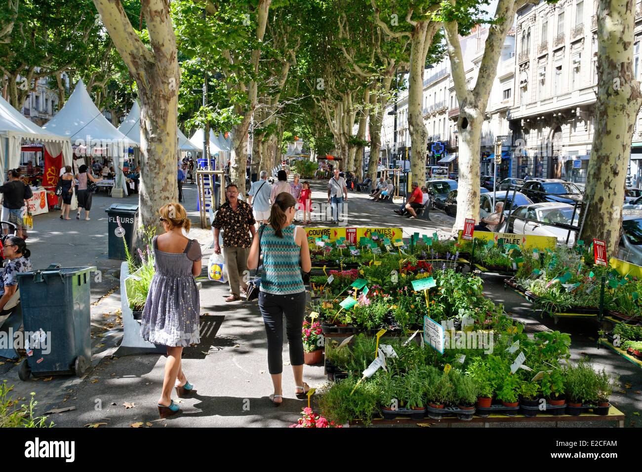 La France, l'Hérault, Béziers, Paul Riquet, chemin piétons en milieu de marché aux fleurs à l'ombre des platanes Banque D'Images
