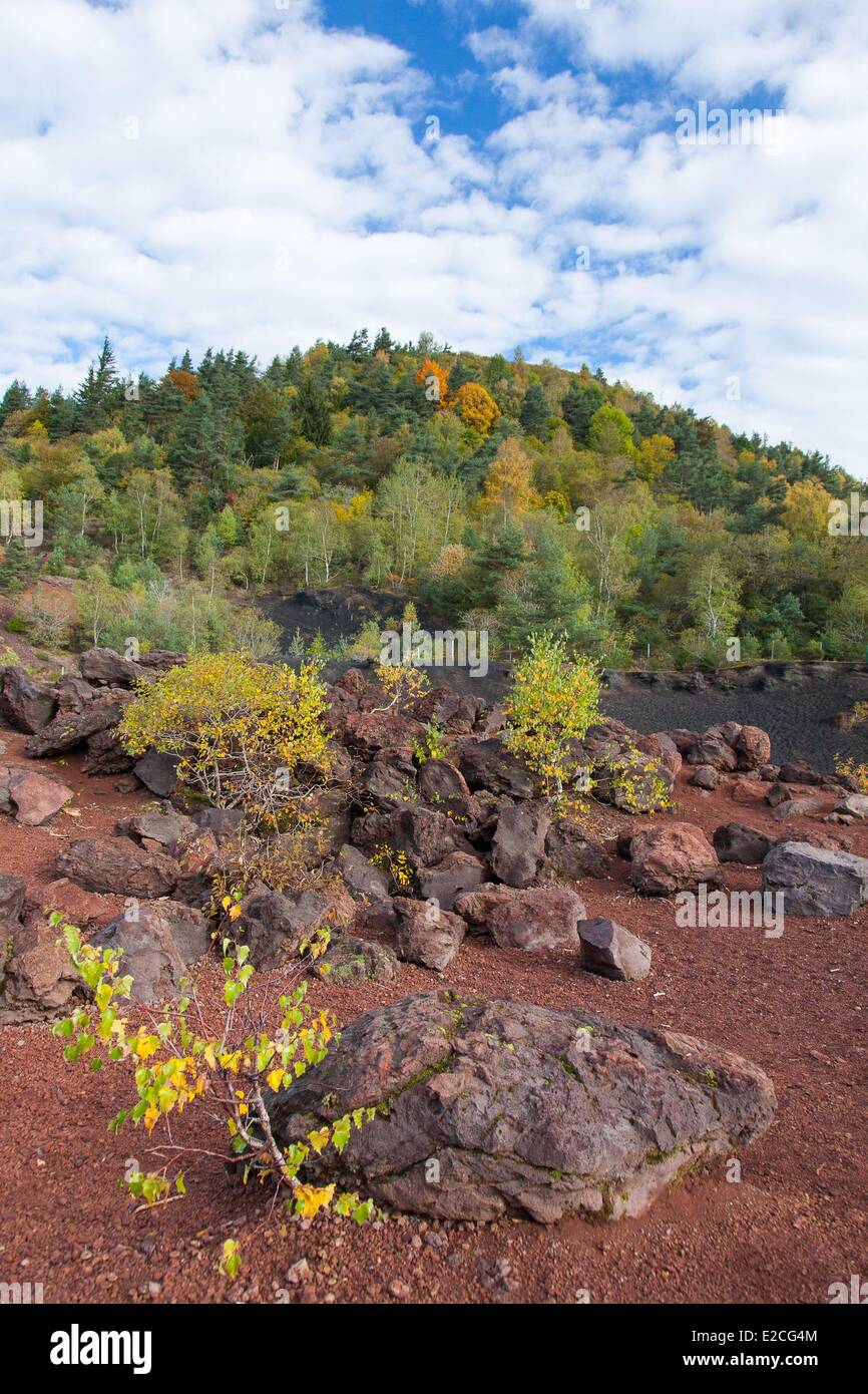 France, Puy de Dome, Parc Naturel Régional des Volcans d'Auvergne (Parc Naturel Régional des Volcans d'Auvergne), Chaîne des Puys, Saint Genès Champanelle, bombes volcaniques dans la carrière du Puy de la Vache Banque D'Images