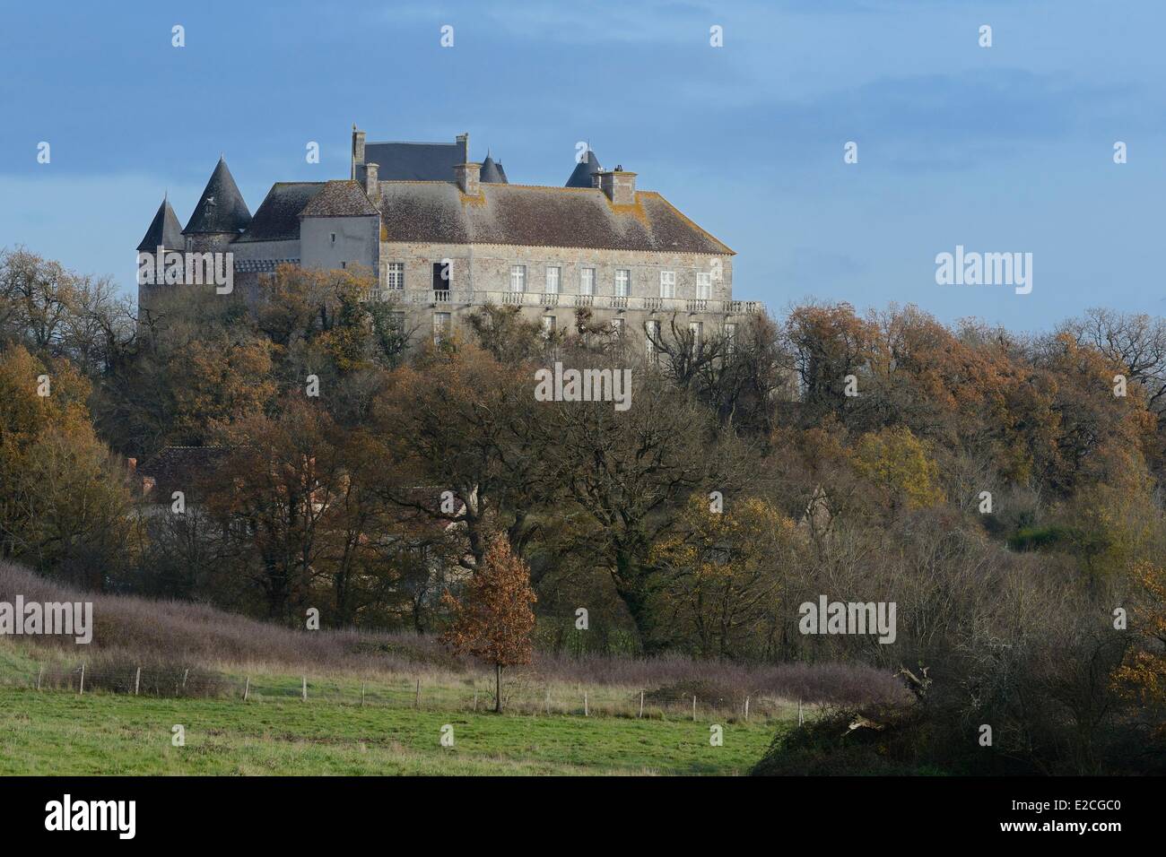 France, Indre, Berry, Parc naturel régional de la Brenne, Rosnay, château Bouchet Banque D'Images