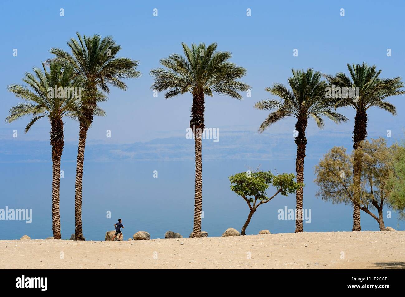 Israël, district sud, Ein Guédi plage sur la Mer Morte Banque D'Images