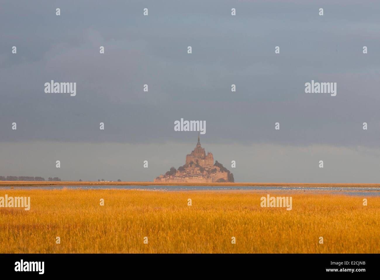 France Manche baie du Mont Saint Michel classé au Patrimoine Mondial ...