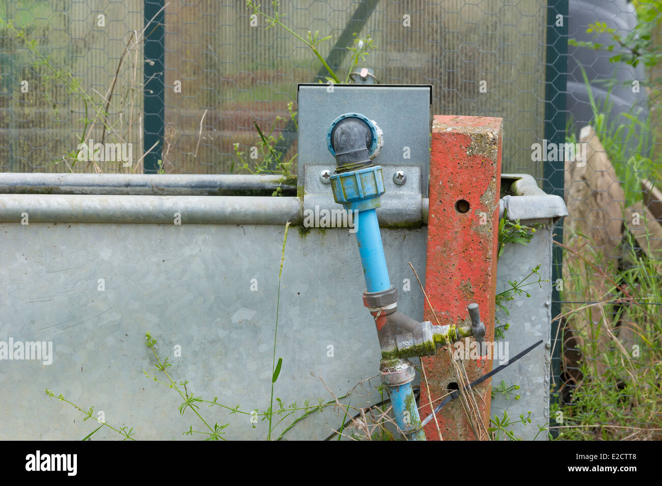 Cuve d'eau de jardin pour le stockage de l'eau avec réservoir pour le remplissage automatique Banque D'Images