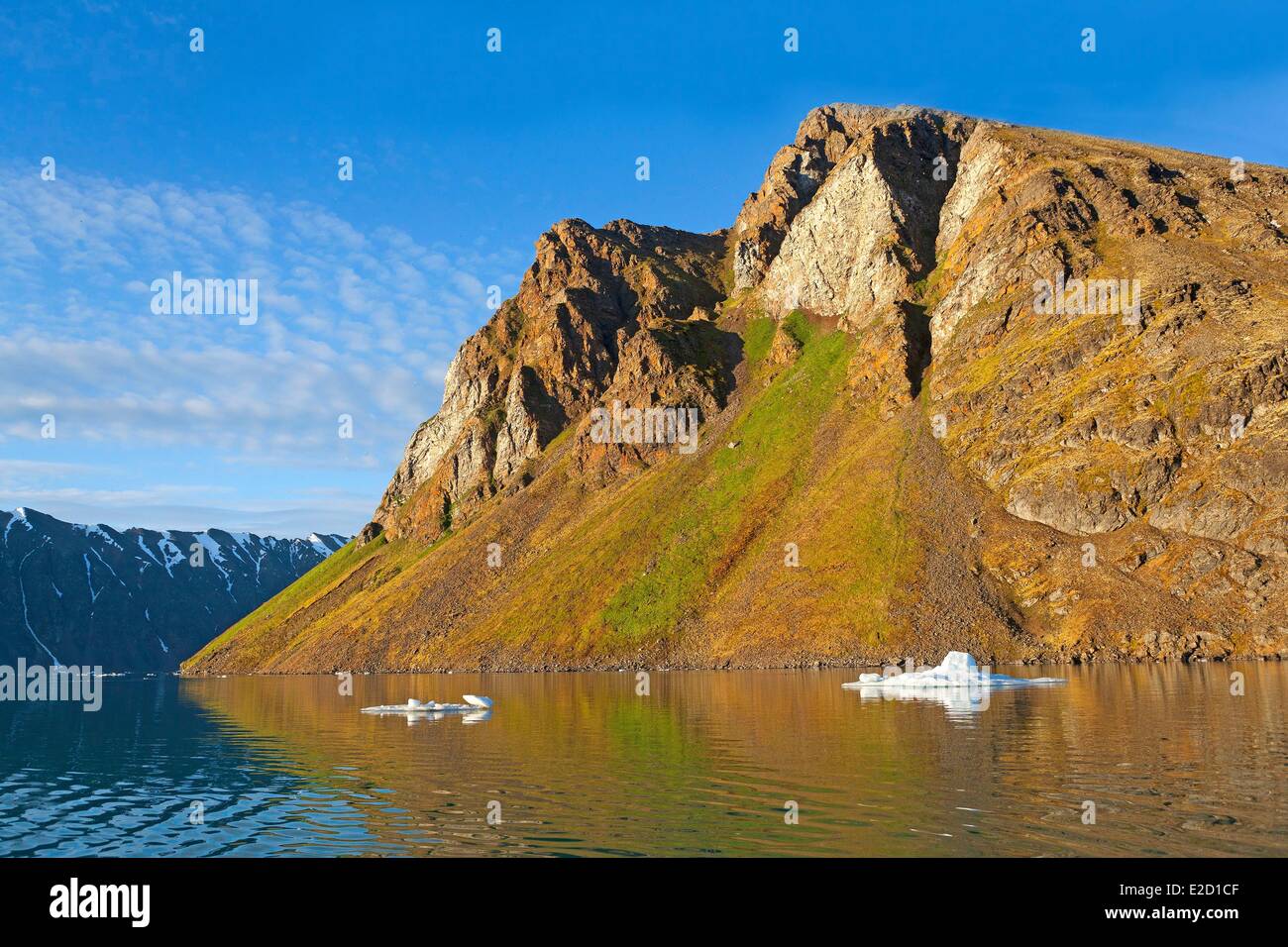 La Norvège Spitzberg Svalbard Krossfjord en colonie d'oiseaux de la petite baie d'Fridtjovneset Nylspynten (près du cap) Banque D'Images La Norvège Spitzberg Svalbard Krossfjord en colonie d'oiseaux de la petite baie d'Fridtjovneset Nylspynten (près du cap) Banque D'Images
