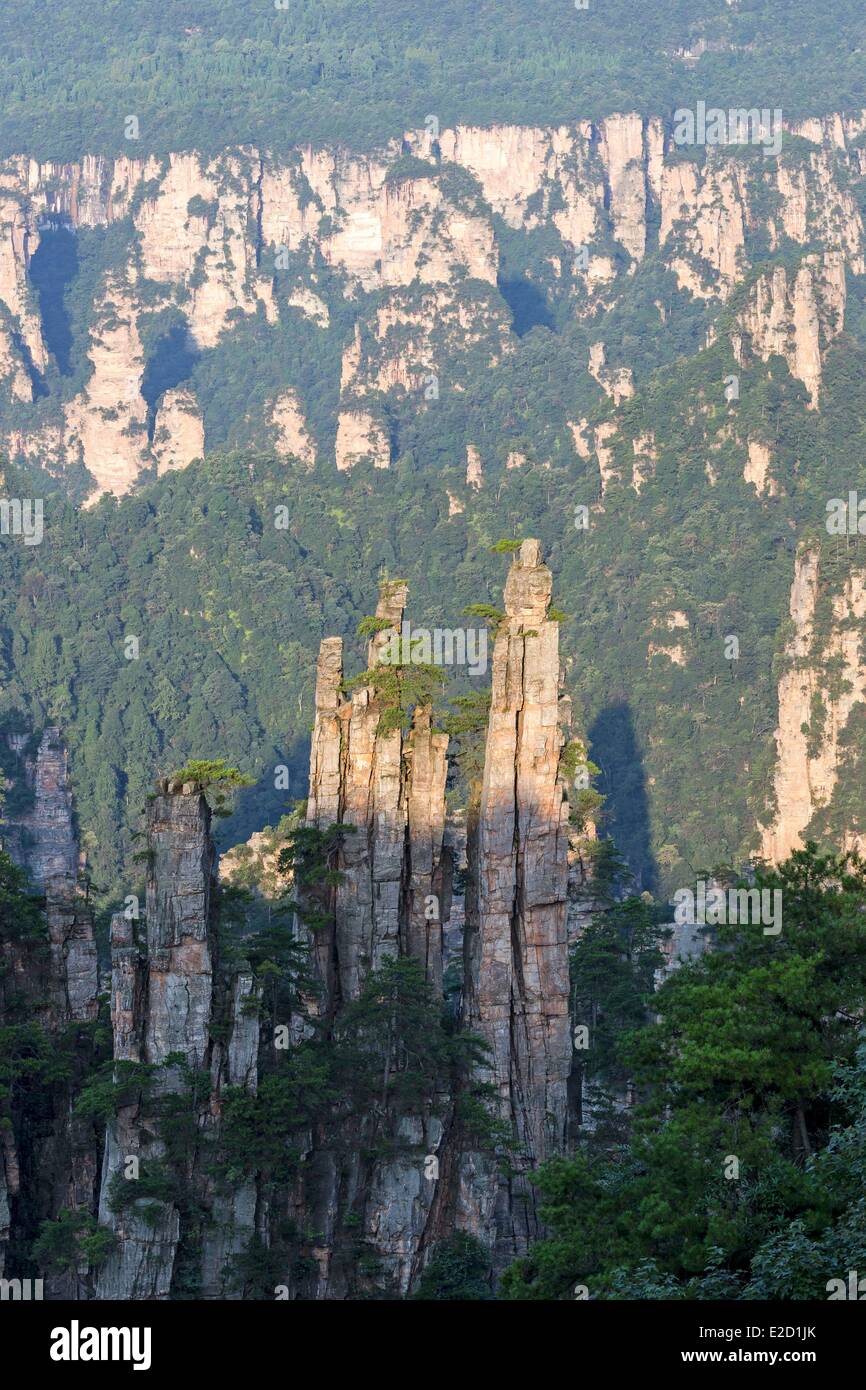 Chine Hunan Province Wulingyuan de Zhangjiajie Scenic Area Parc forestier national de Zhangjiajie inscrite au Patrimoine Mondial de l'UNESCO Banque D'Images