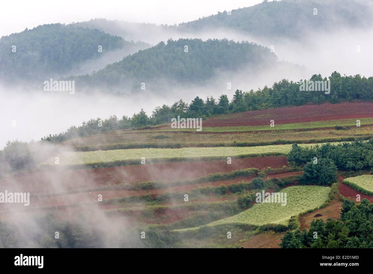 Chine Yunnan Province District Dongchuan terres rouges Xiguadi Banque D'Images