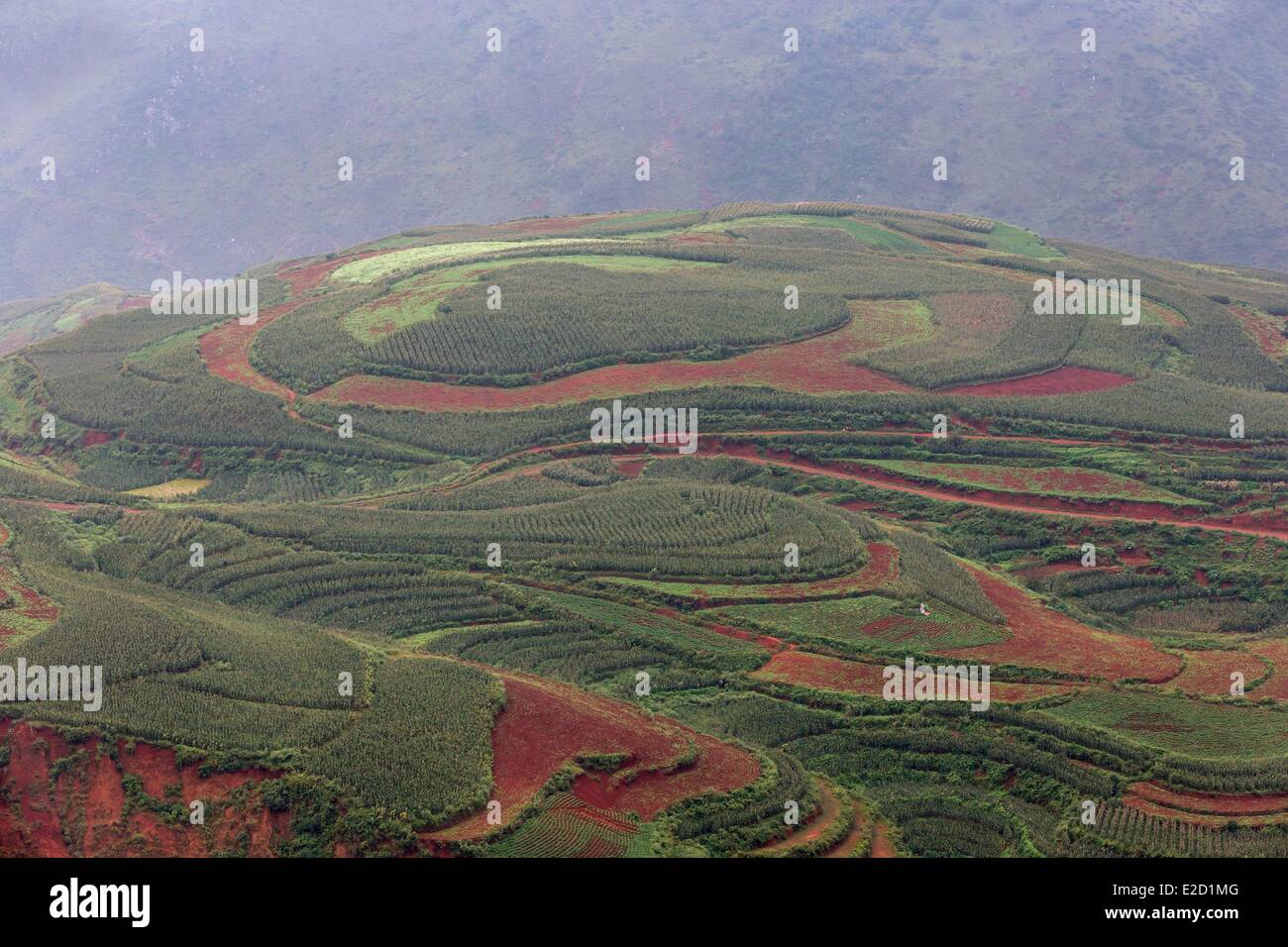 Chine Yunnan Province District Dongchuan Luoxiagou cultures en terrasses Banque D'Images