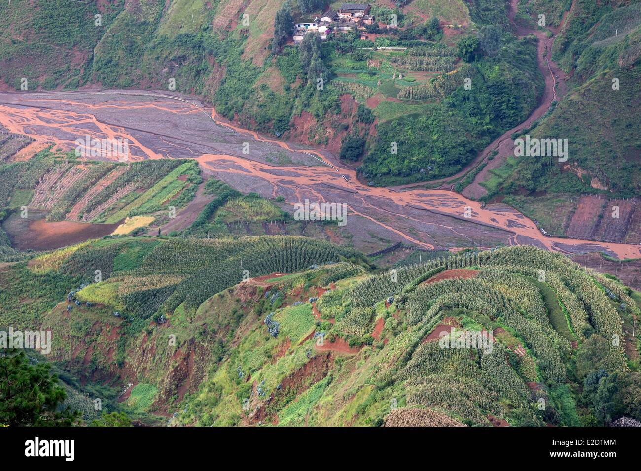 Chine Yunnan Province District Dongchuan Yueliangtian cultures en terrasses Banque D'Images