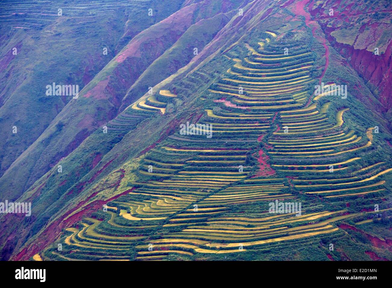 Chine Yunnan Province District Dongchuan Yueliangtian cultures en terrasses Banque D'Images